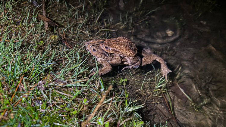 Sputnik Türkiye tweet media