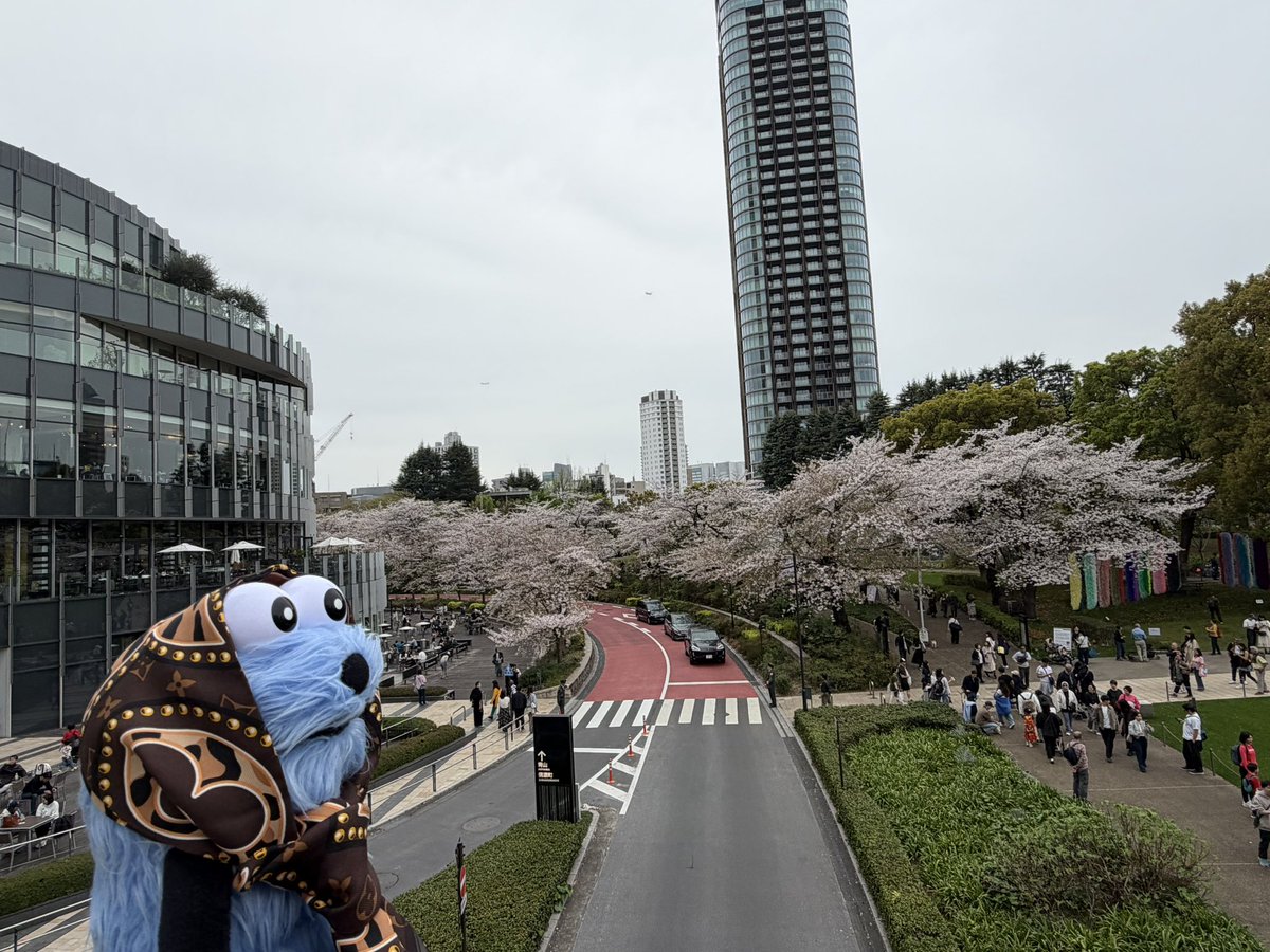 スン氏 tweet media