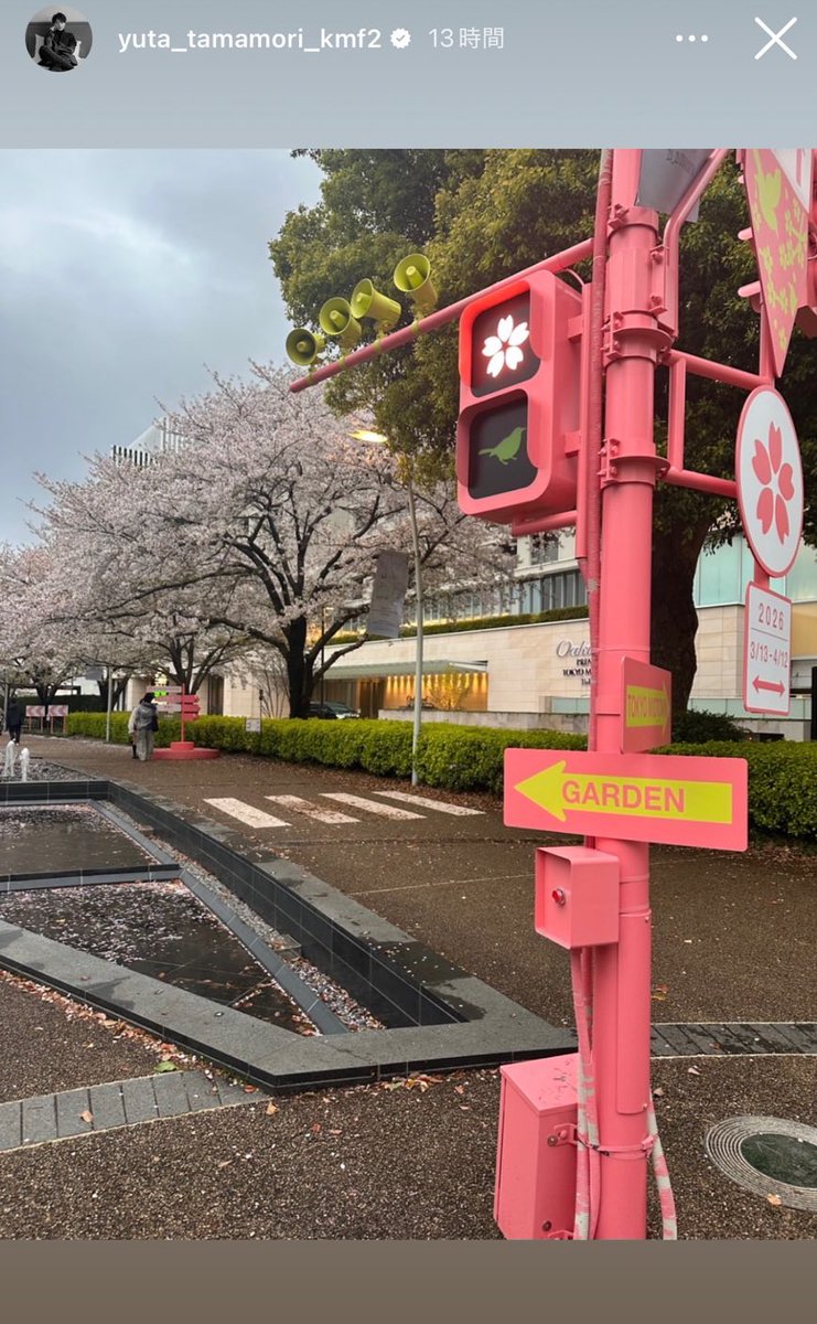 スン氏 tweet media