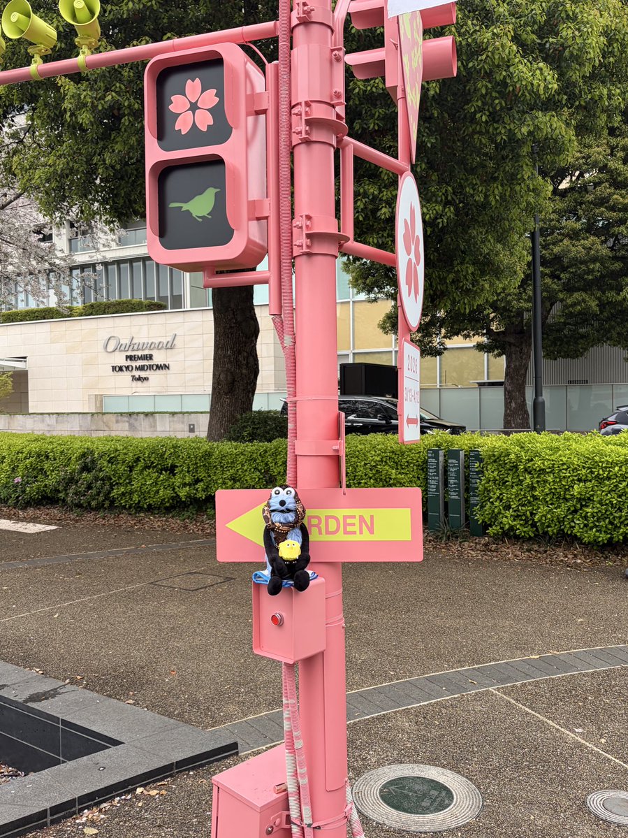 スン氏 tweet media