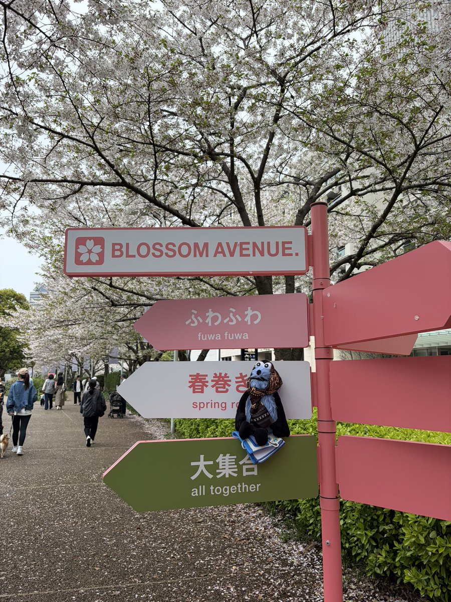 スン氏 tweet media