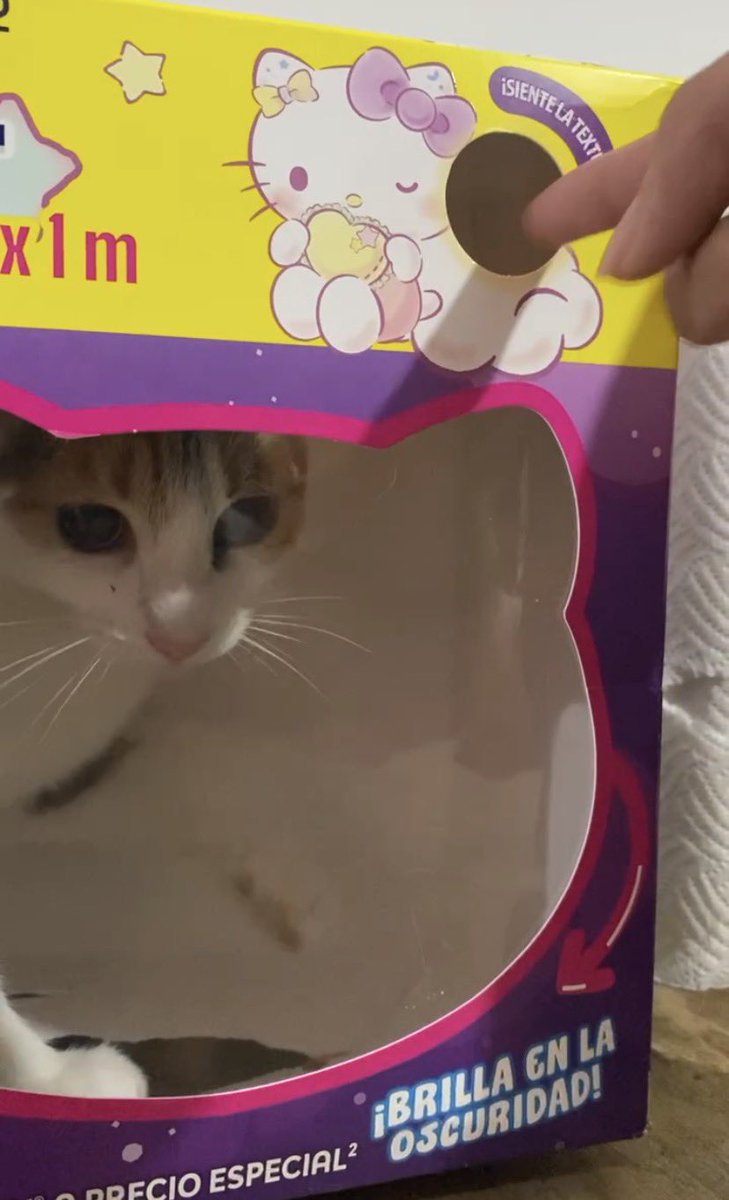 miranda 🔸 tweet media