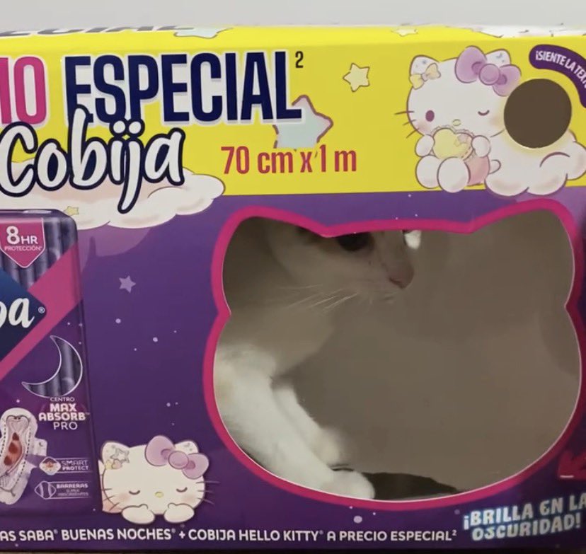 miranda 🔸 tweet media