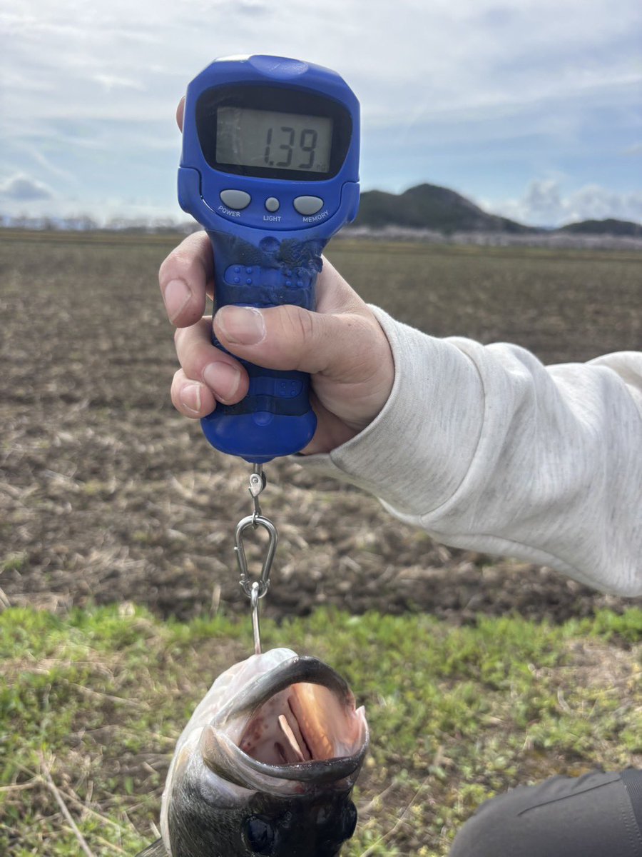 よっしー tweet media