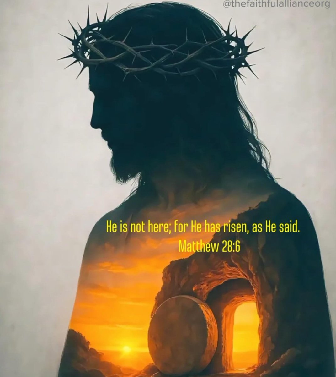 Peace🌷 tweet media