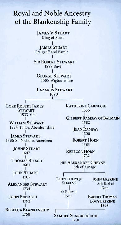 James Person - Dragon King tweet media