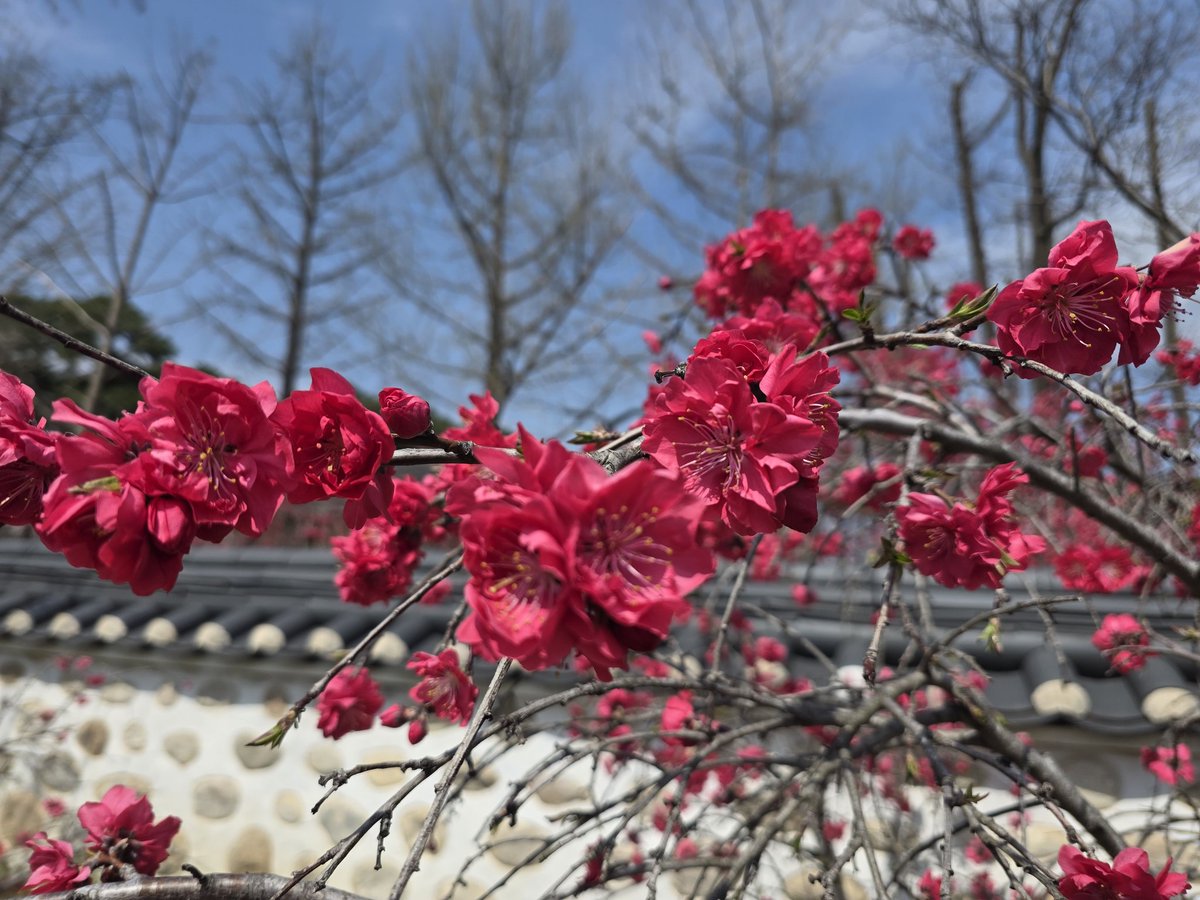 연  하 니 tweet media