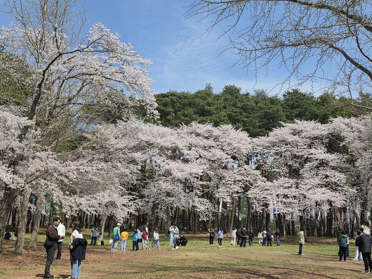 연  하 니 tweet media