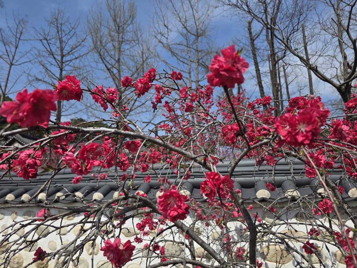 연  하 니 tweet media