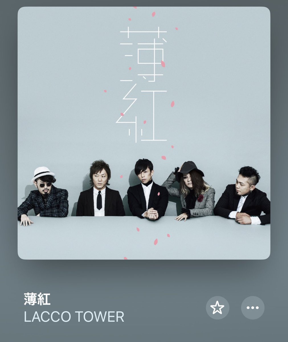 Momo@袖🍉 tweet media