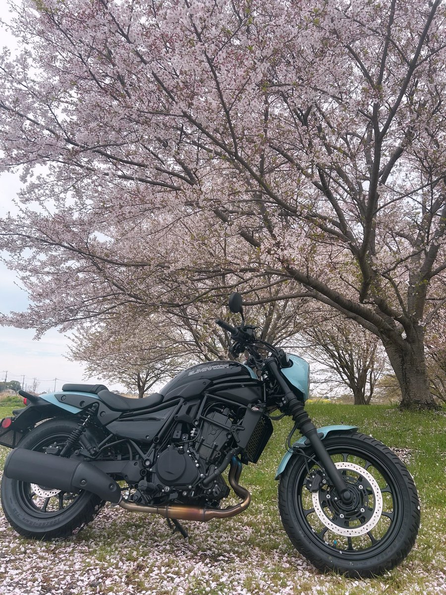 マァサ tweet media