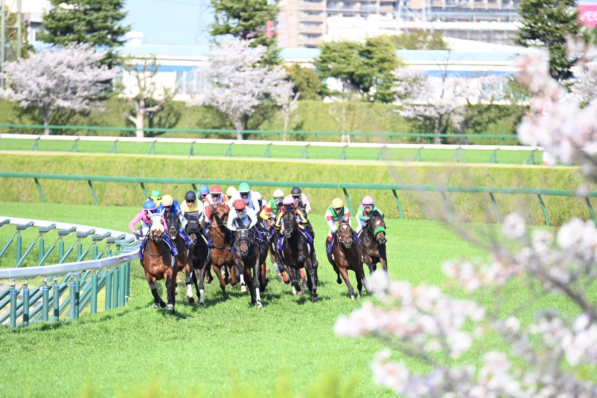 Tomonari Motohashi tweet media