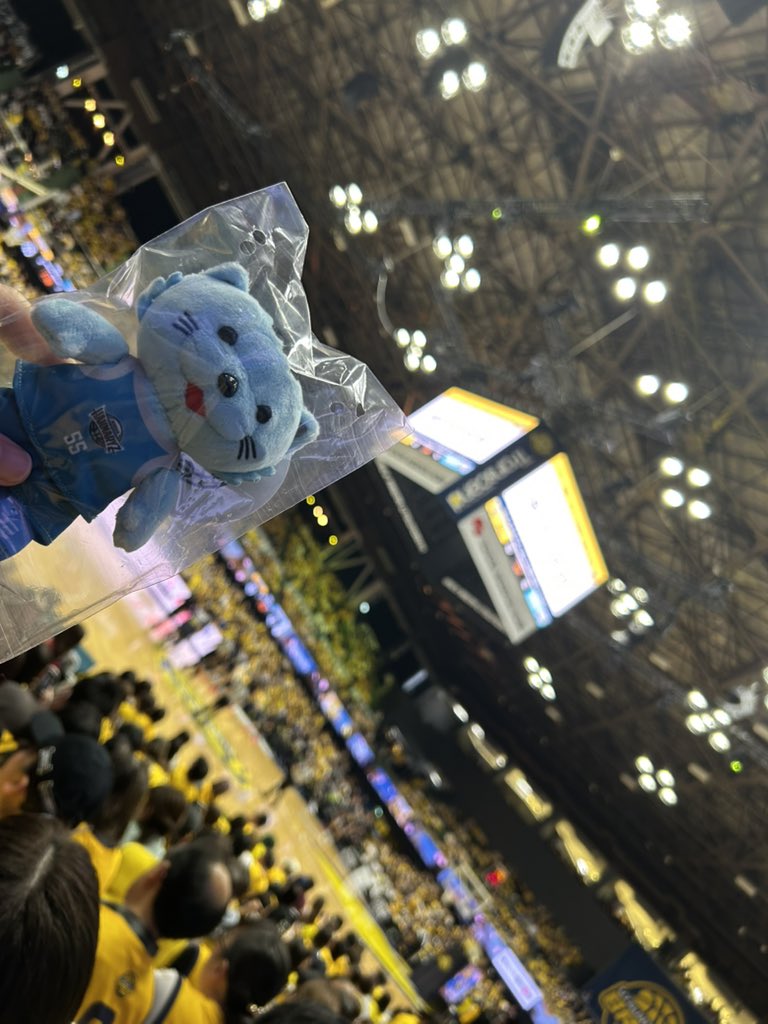 ミス・フラワーフライデー tweet media