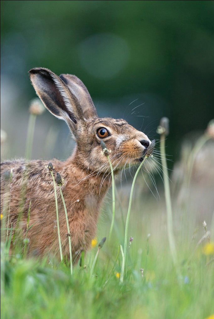 Richard Bowler tweet media