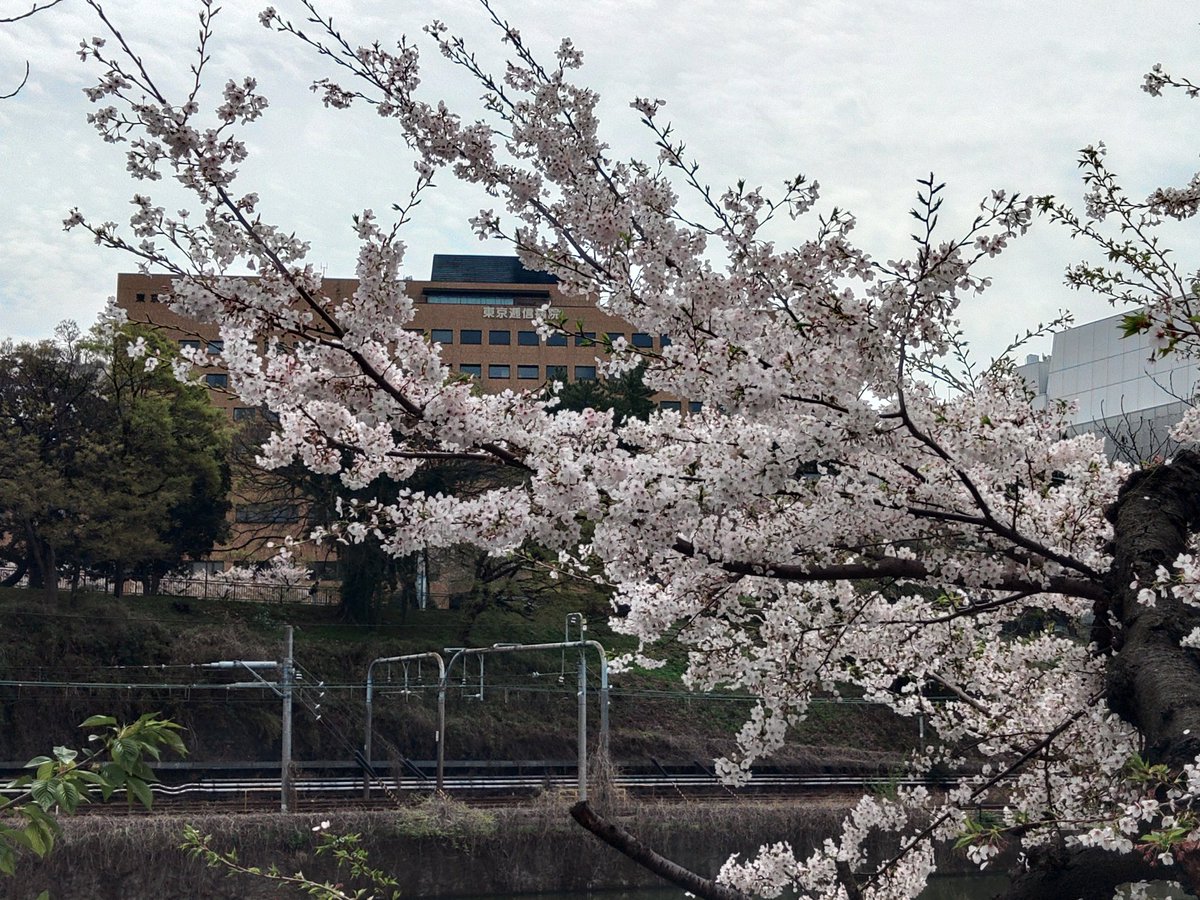 感護師坪田康佑💉Nursing for Nurses tweet media