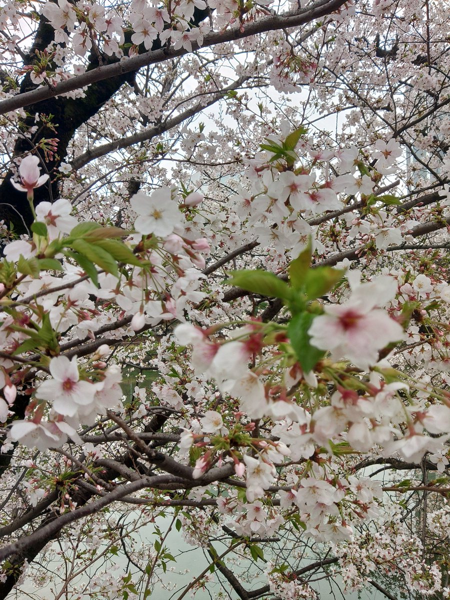 感護師坪田康佑💉Nursing for Nurses tweet media