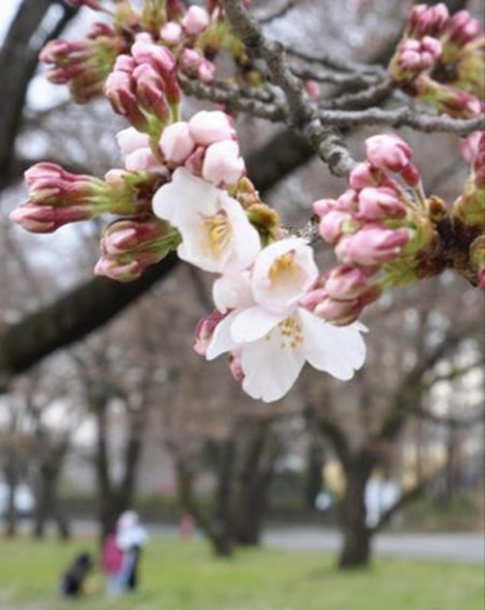 HM: Trip✈ tweet media