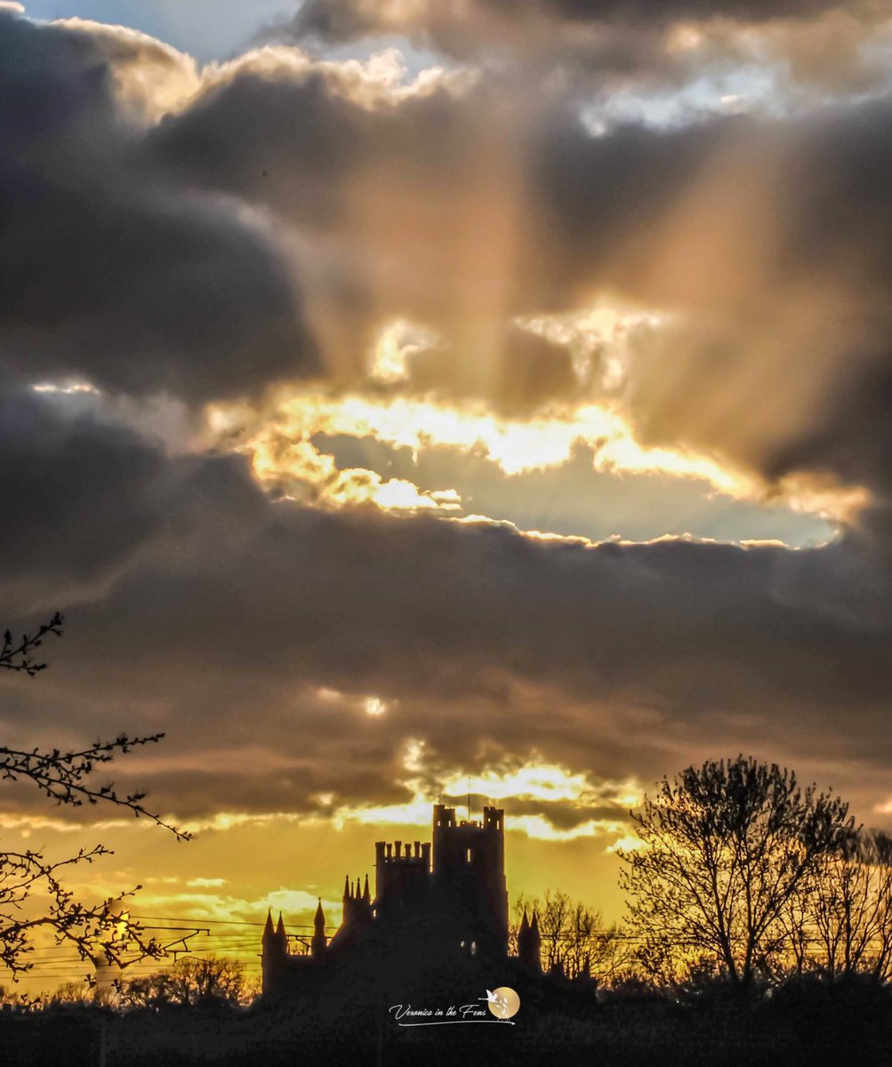 Veronica in the Fens 🧚🏼‍♀️ My Heart in Nature tweet media