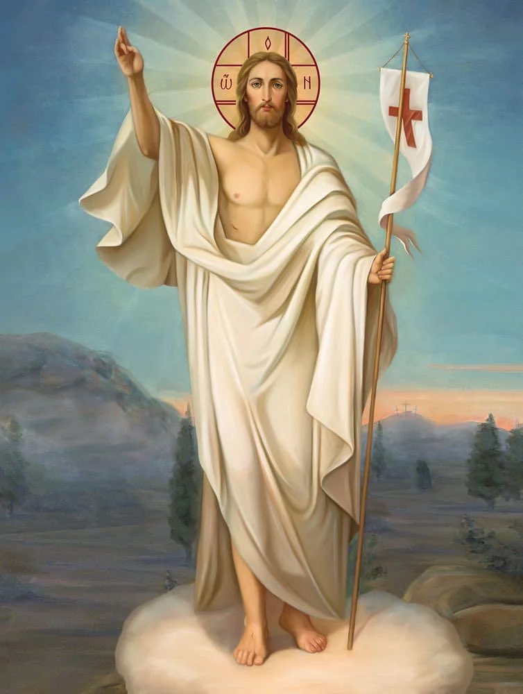 Wojciech Machulski tweet media