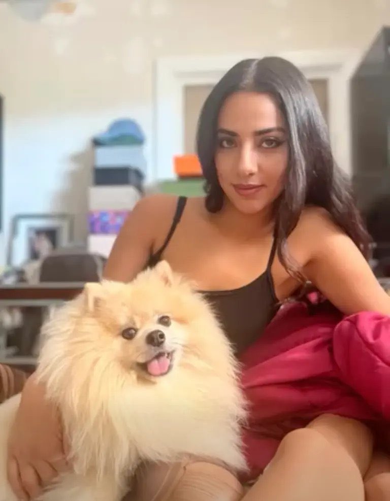 فهد ديباجي tweet media