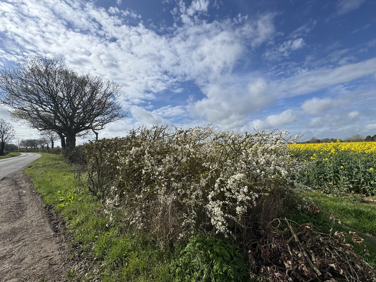 OtherChris tweet media