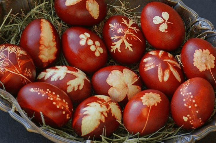 Милан Д. Станојевић tweet media