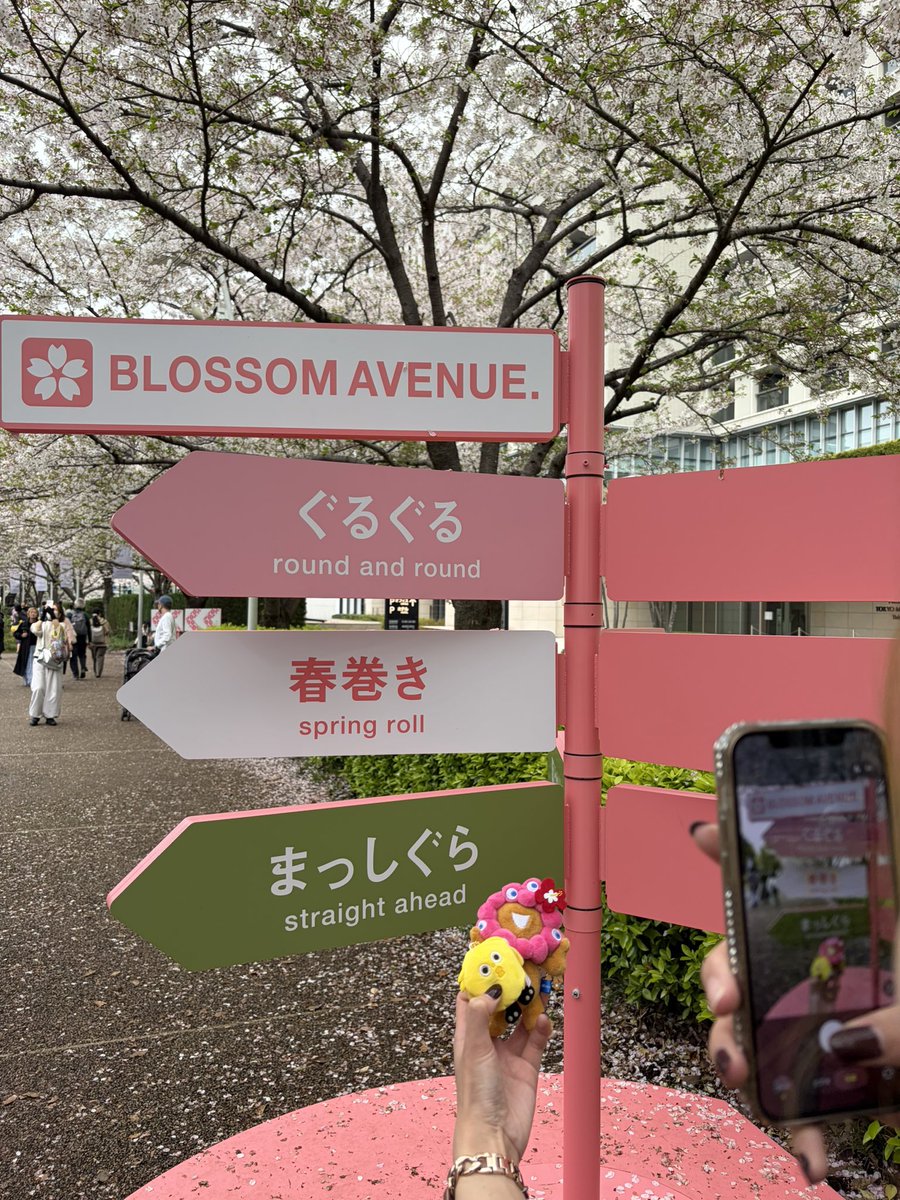 スン氏 tweet media