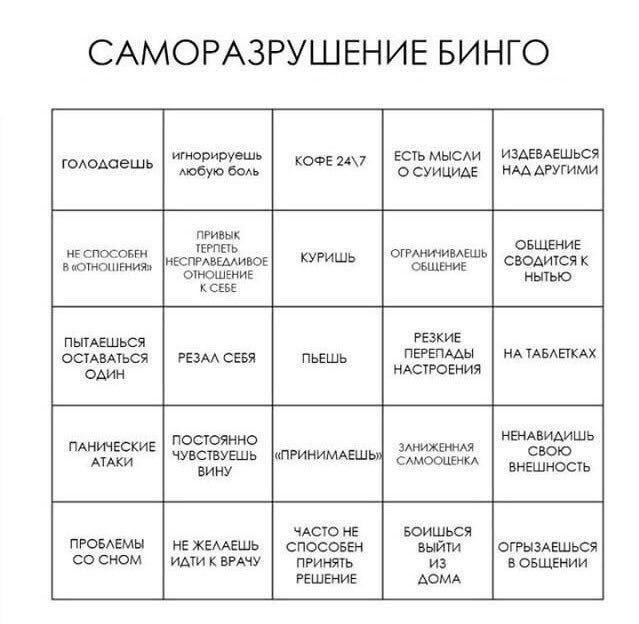кошка работает. tweet media