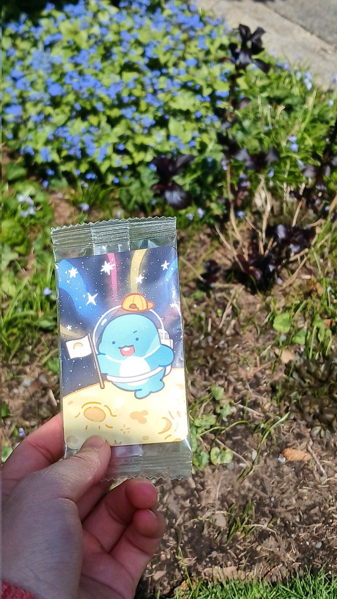 it 🧊 📧 tweet media