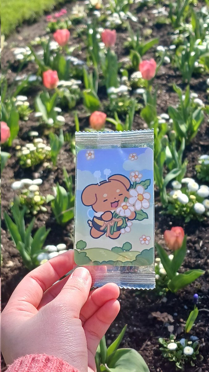 it 🧊 📧 tweet media