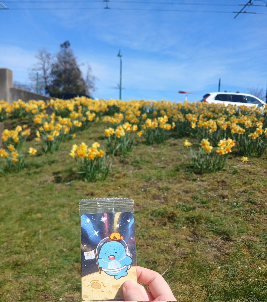 it 🧊 📧 tweet media