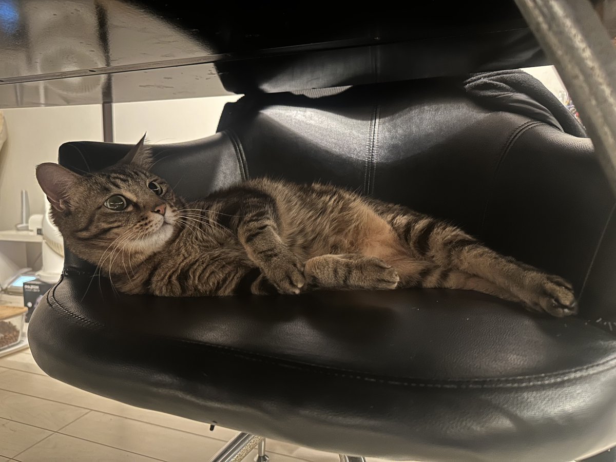 ^. .^ヲタク🐈‍⬛ tweet media