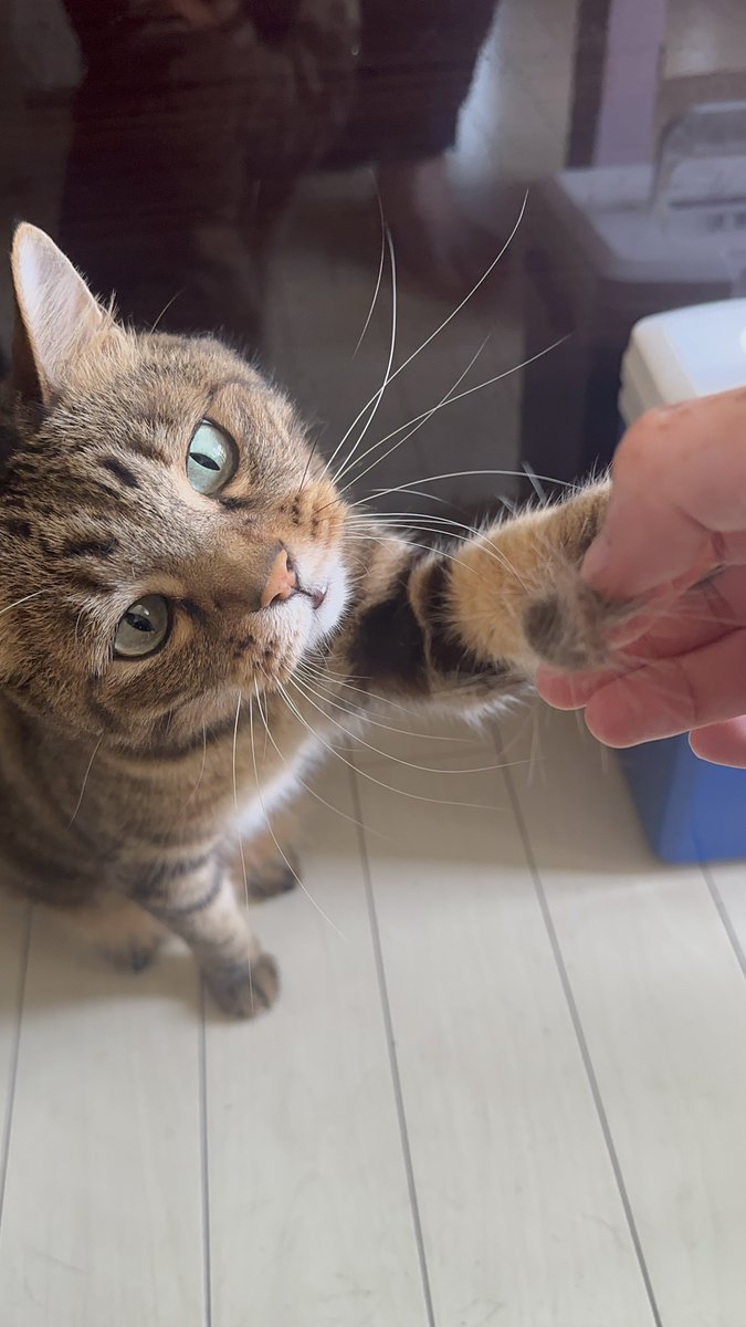 ^. .^ヲタク🐈‍⬛ tweet media