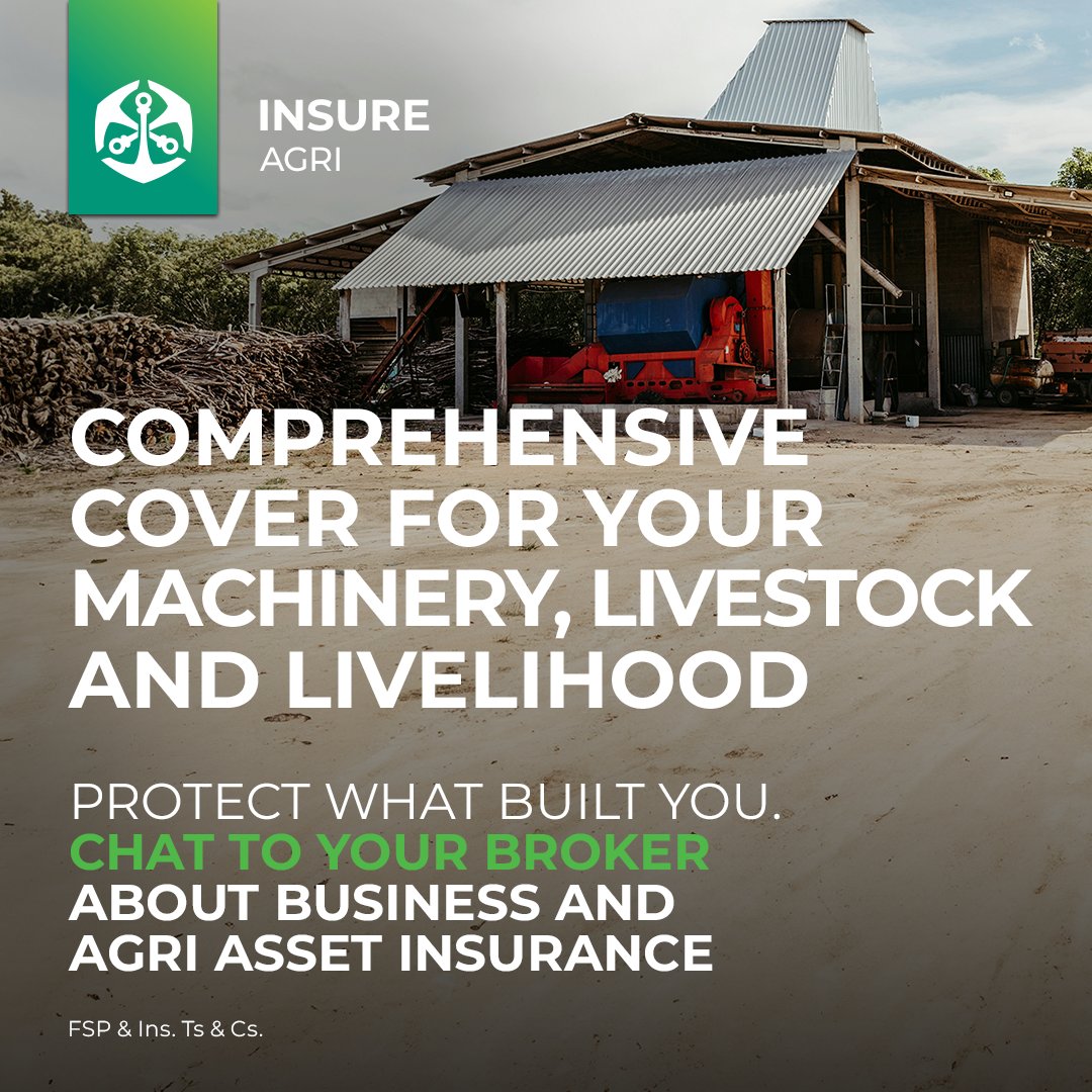 @veeplaas1 tweet media