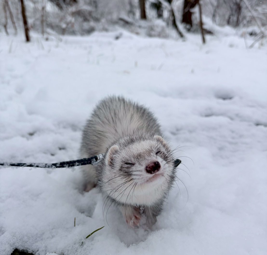 🐣Jonte@ひよこ組さん🐣 tweet media