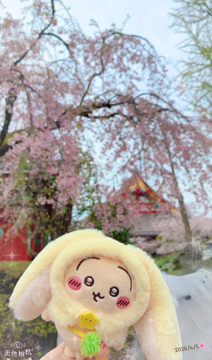 りゅう(о´∀`о) tweet media