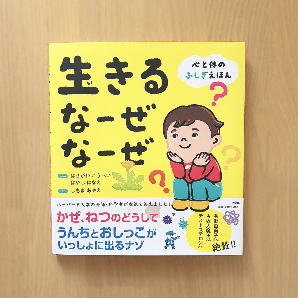 下間文恵イラストレーター🐿️🌳 tweet media