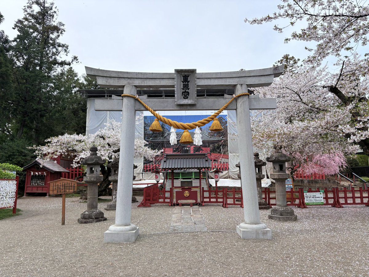 ミント☆ tweet media