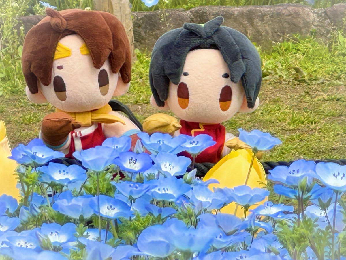 そららん tweet media