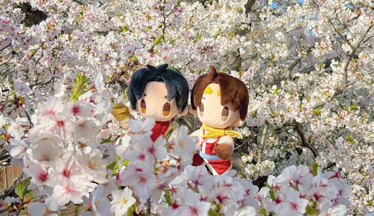 そららん tweet media