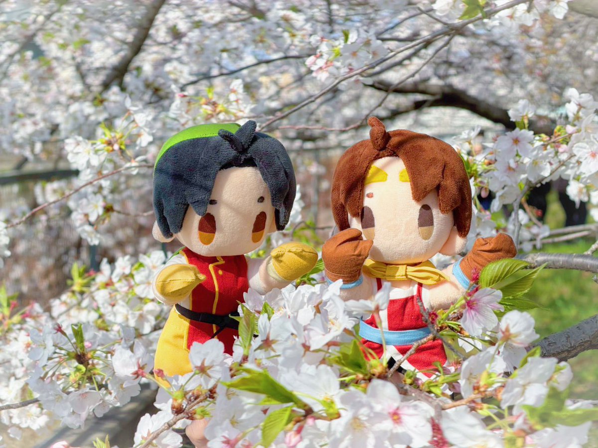 そららん tweet media