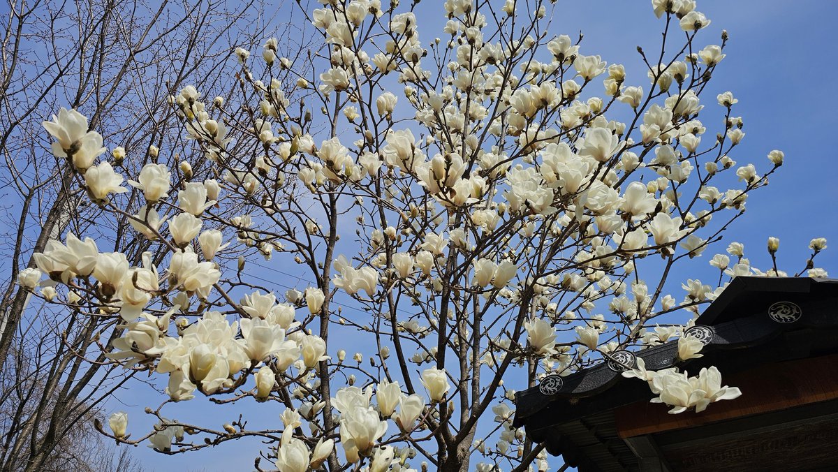 ㅇㄴㄱ tweet media