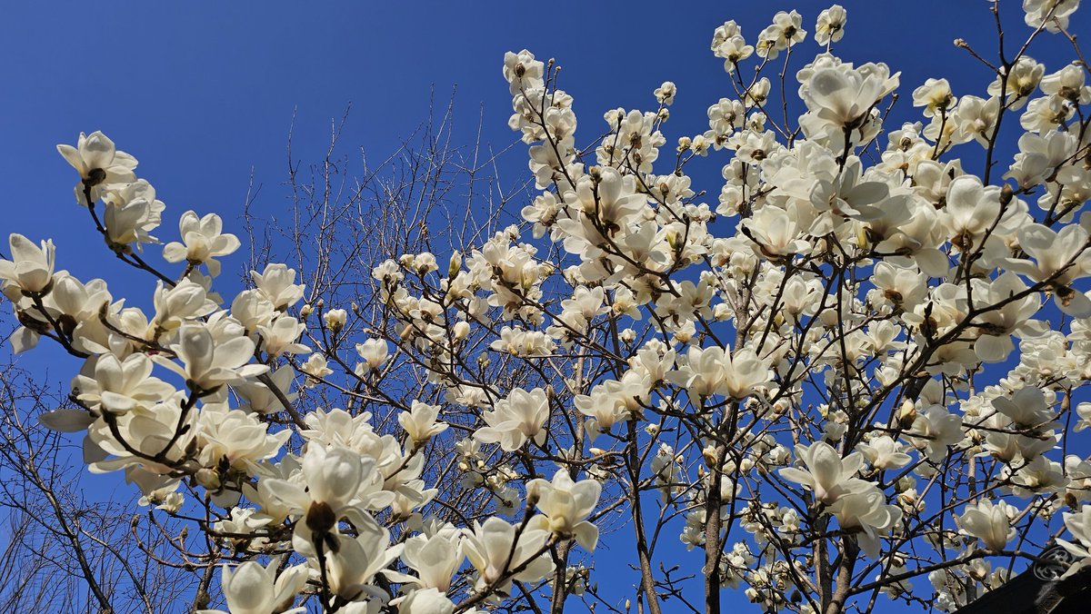 ㅇㄴㄱ tweet media