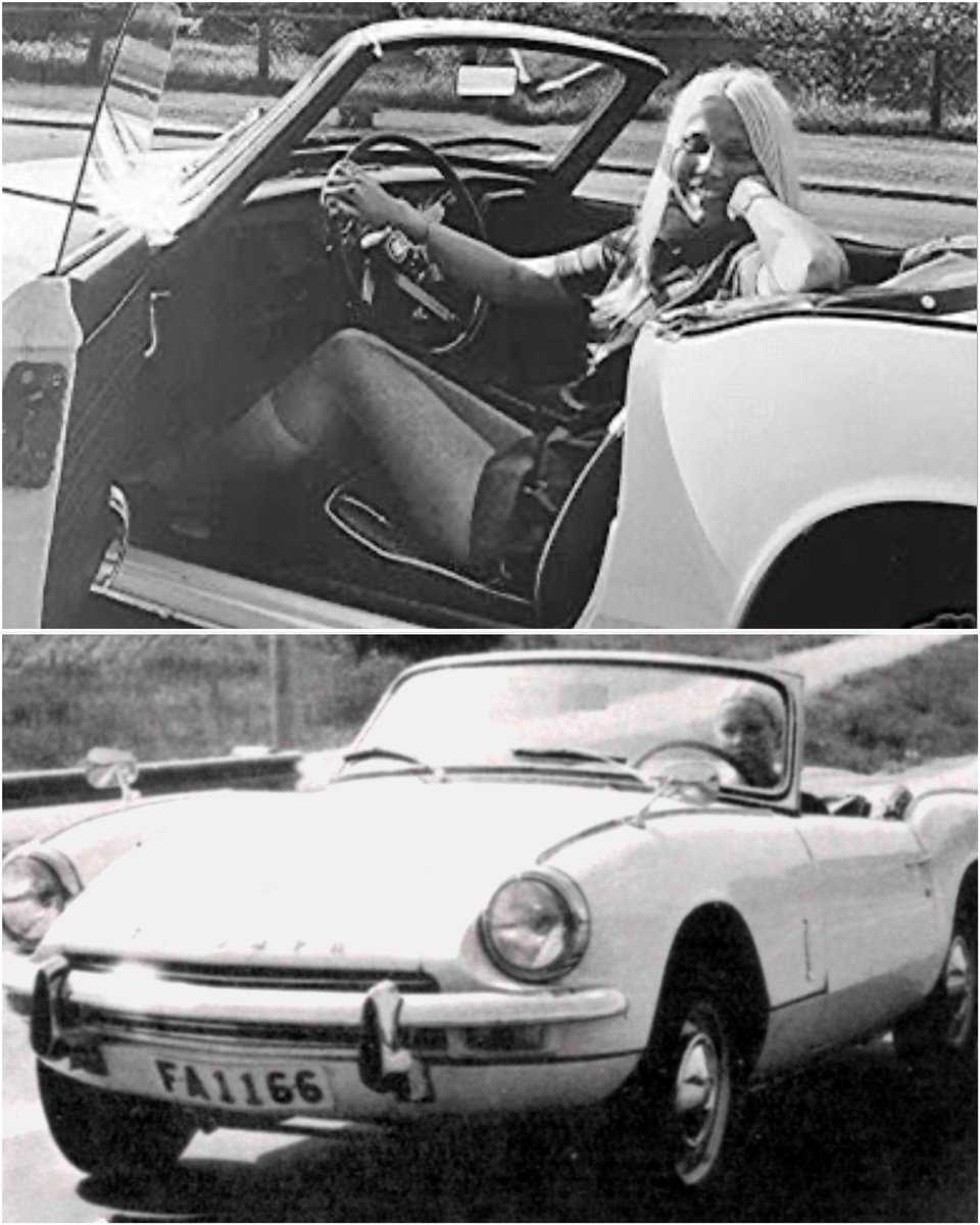 Stars and Cars tweet media