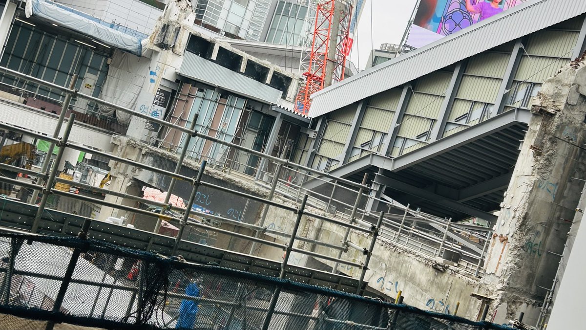 あきしま tweet media