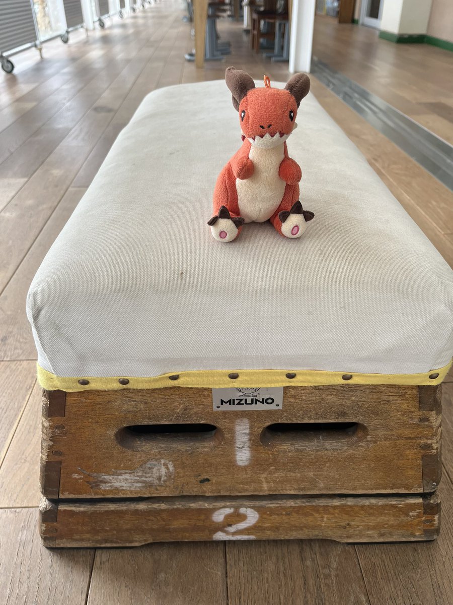 マサキ tweet media