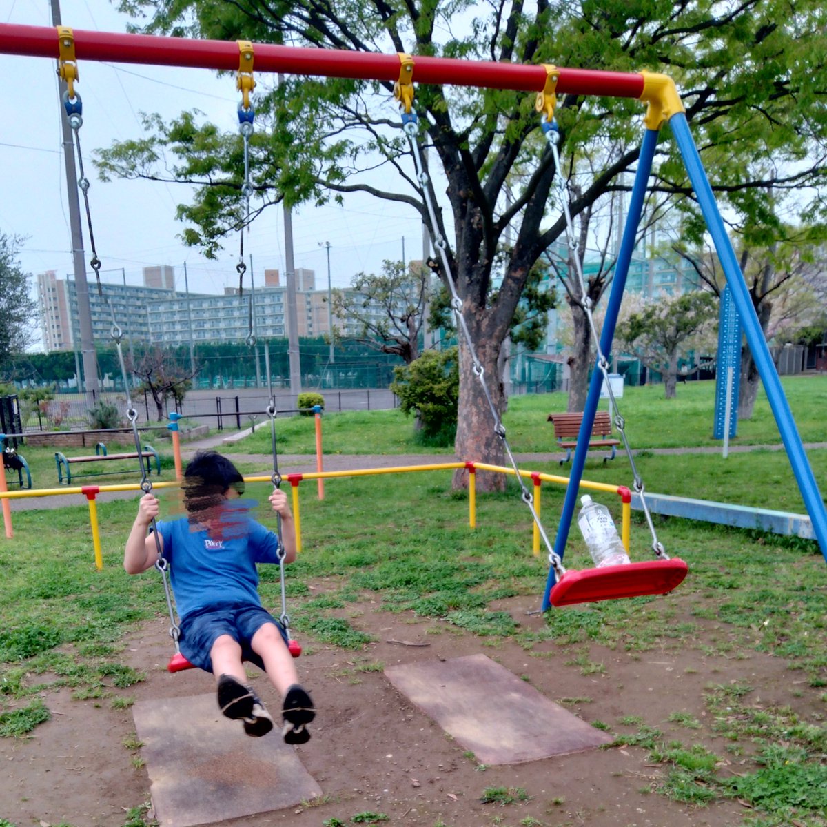 サイコロ姉さん💀 tweet media