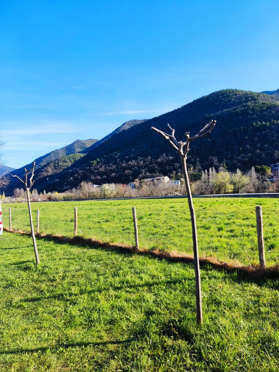 Sussí Emperatriz tweet media