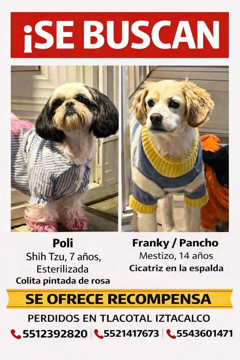 Oceanican tweet media