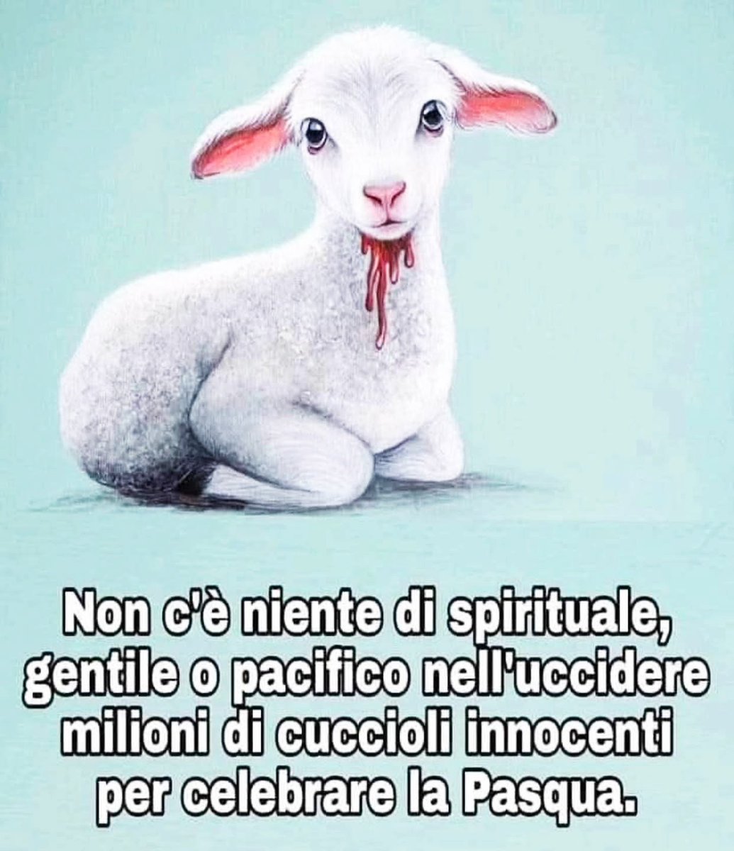 Gianni Runco tweet media